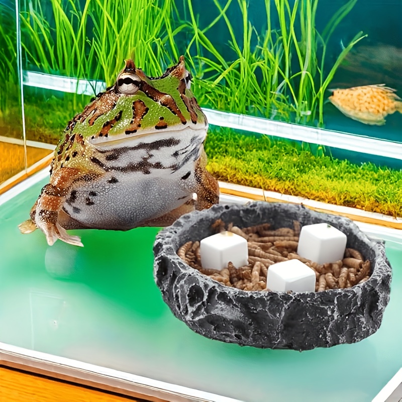 6Pcs For Reptile Grinding Tort - Calcium Powder Reptile recension och pris