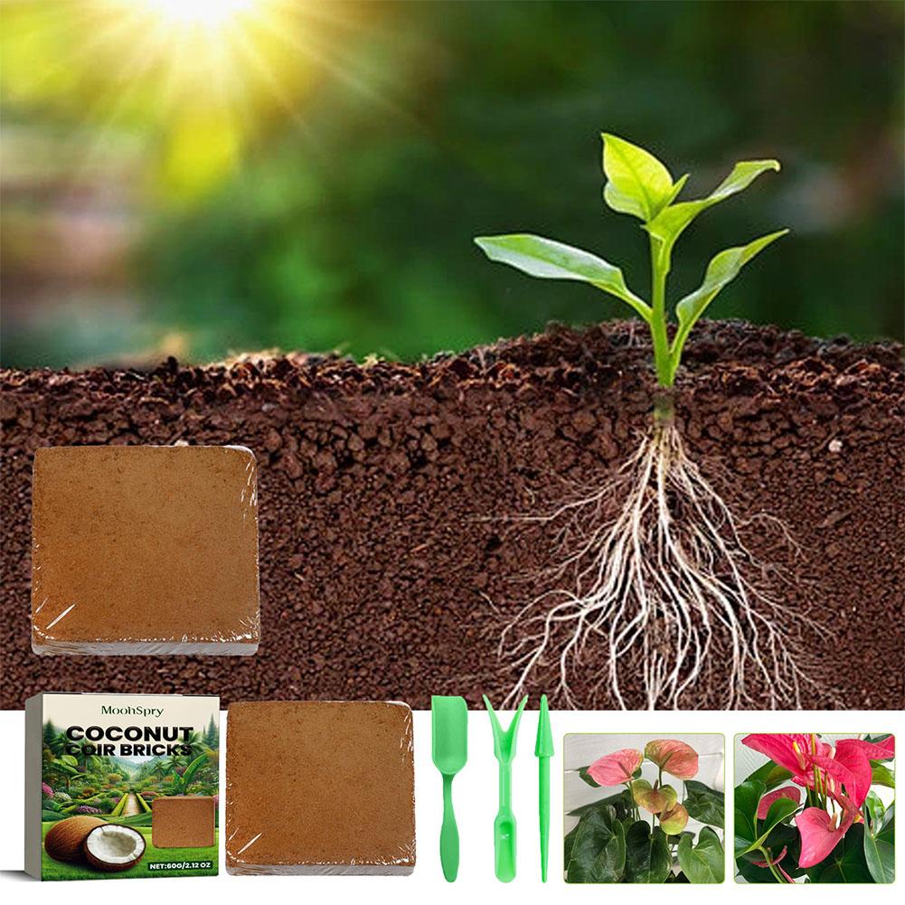 Reptile Coconut Soil Coir Pres - Substrate Coconut Fiber recension och pris