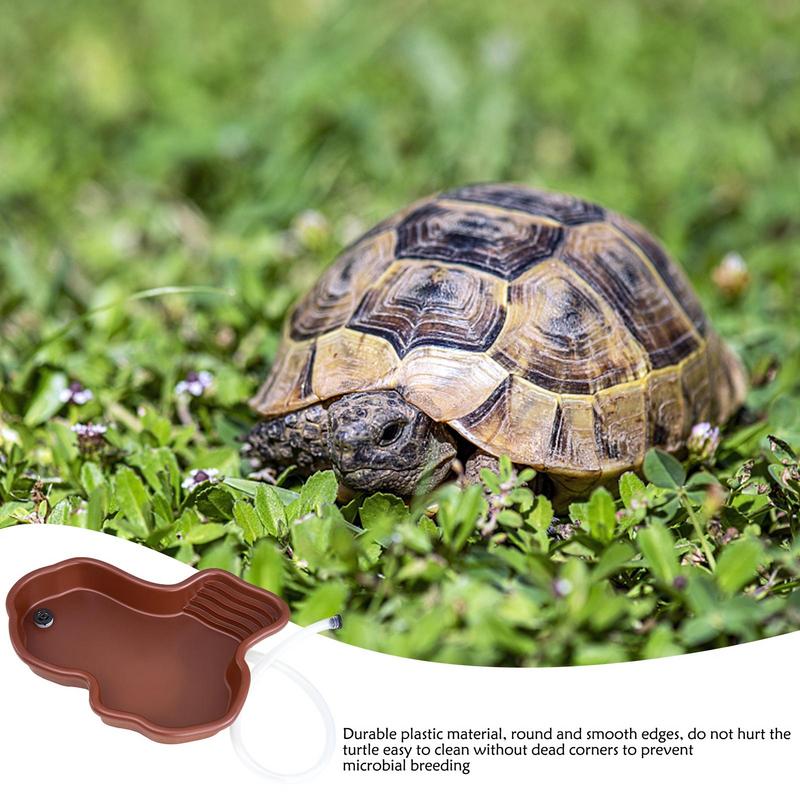 Turtle Feeding Dish Reptile Ba - Water Dish Reptile recension och pris