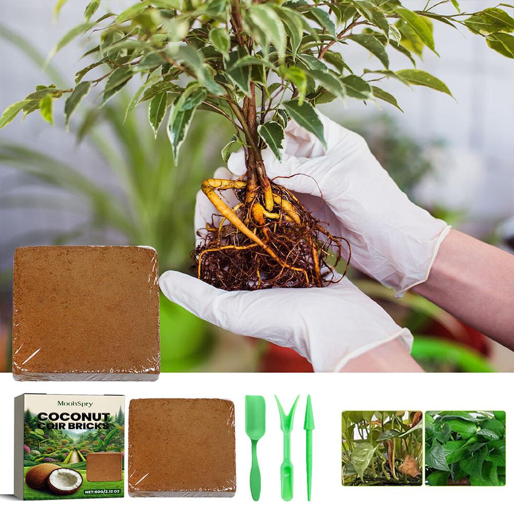 Coconut Coir Fiber Brick - Org - Substrate Coconut Fiber recension och pris