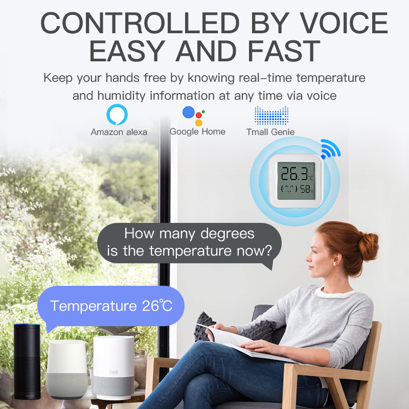 Bluetooth Temperature Humidity - Digital Hygrometer Probe recension och pris
