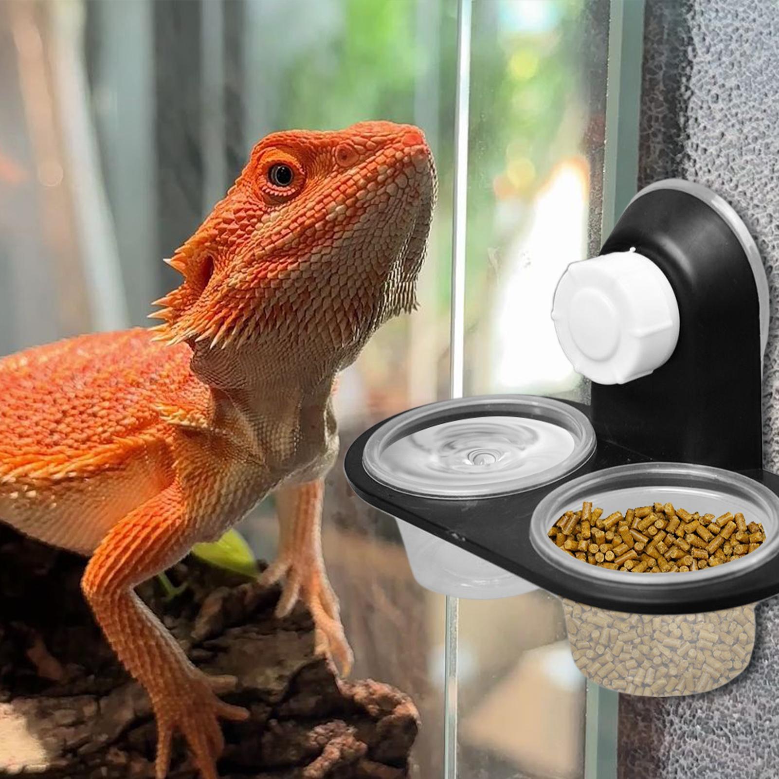 Gecko Food Dish Gecko Water Di - Water Dish Reptile recension och pris