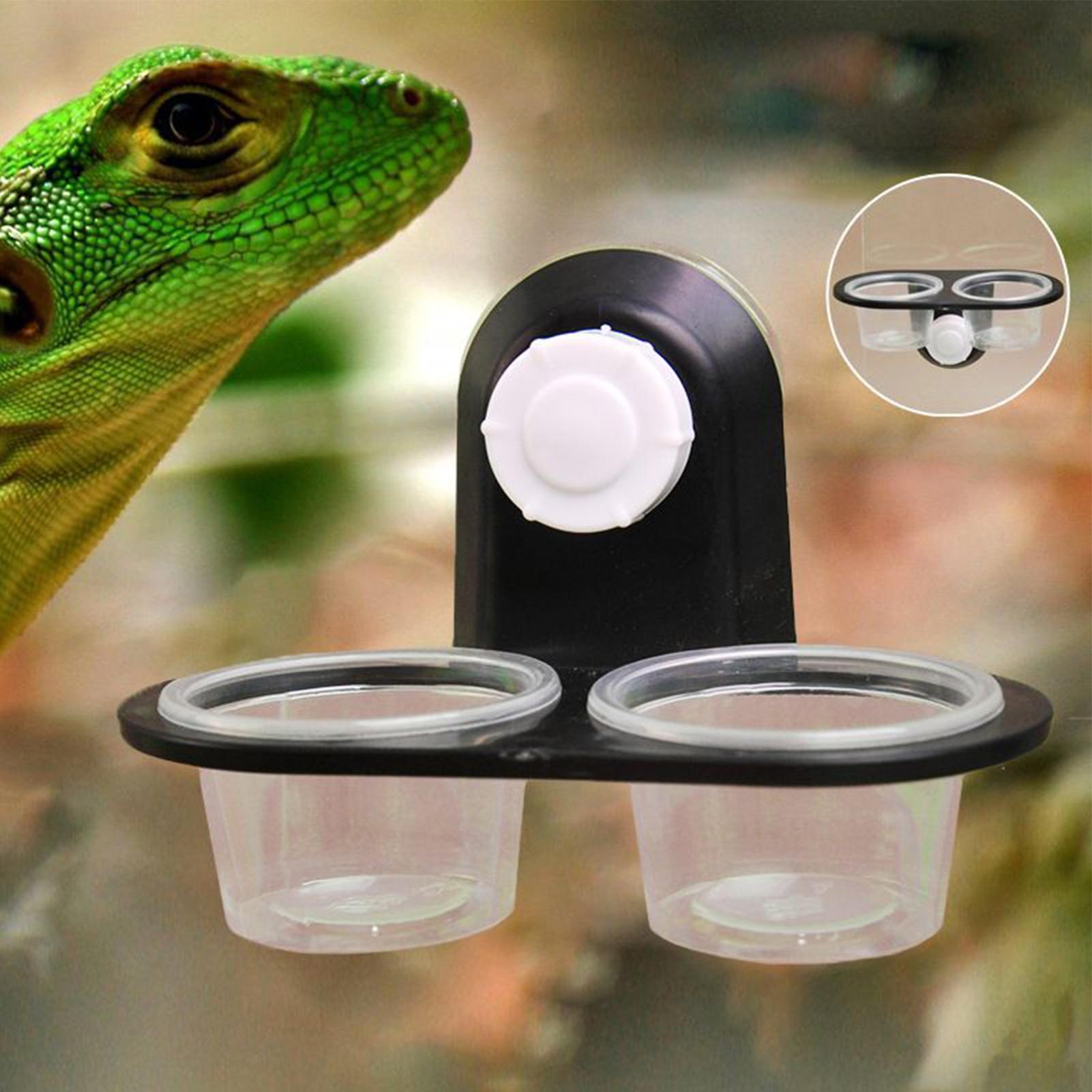 Gecko Food Dish Gecko Water Di - Water Dish Reptile recension och pris