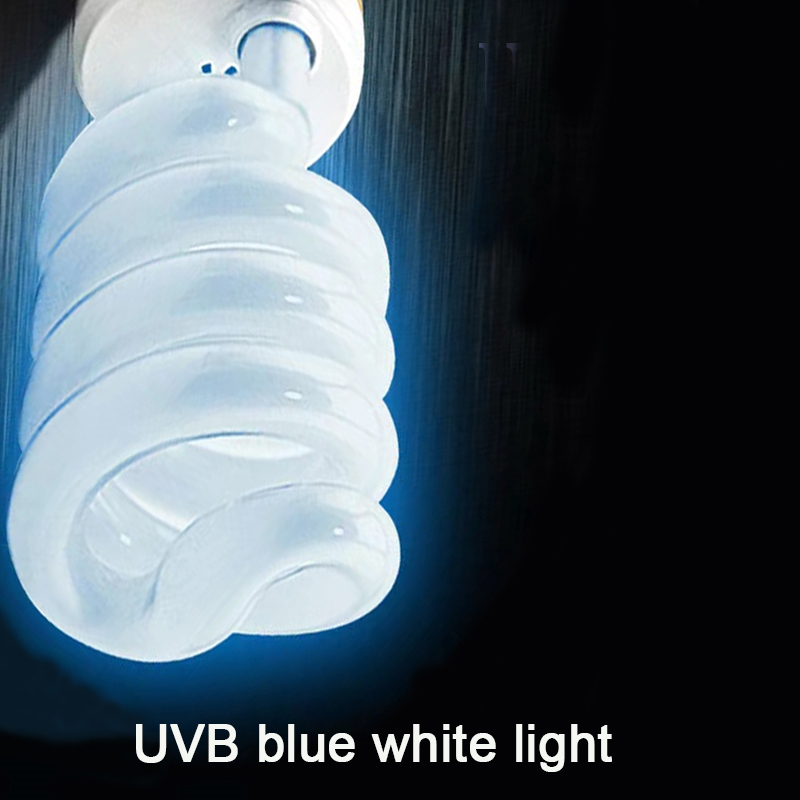 E27 13W/26W Reptile Uvb Lamp   - Calcium Powder Reptile recension och pris