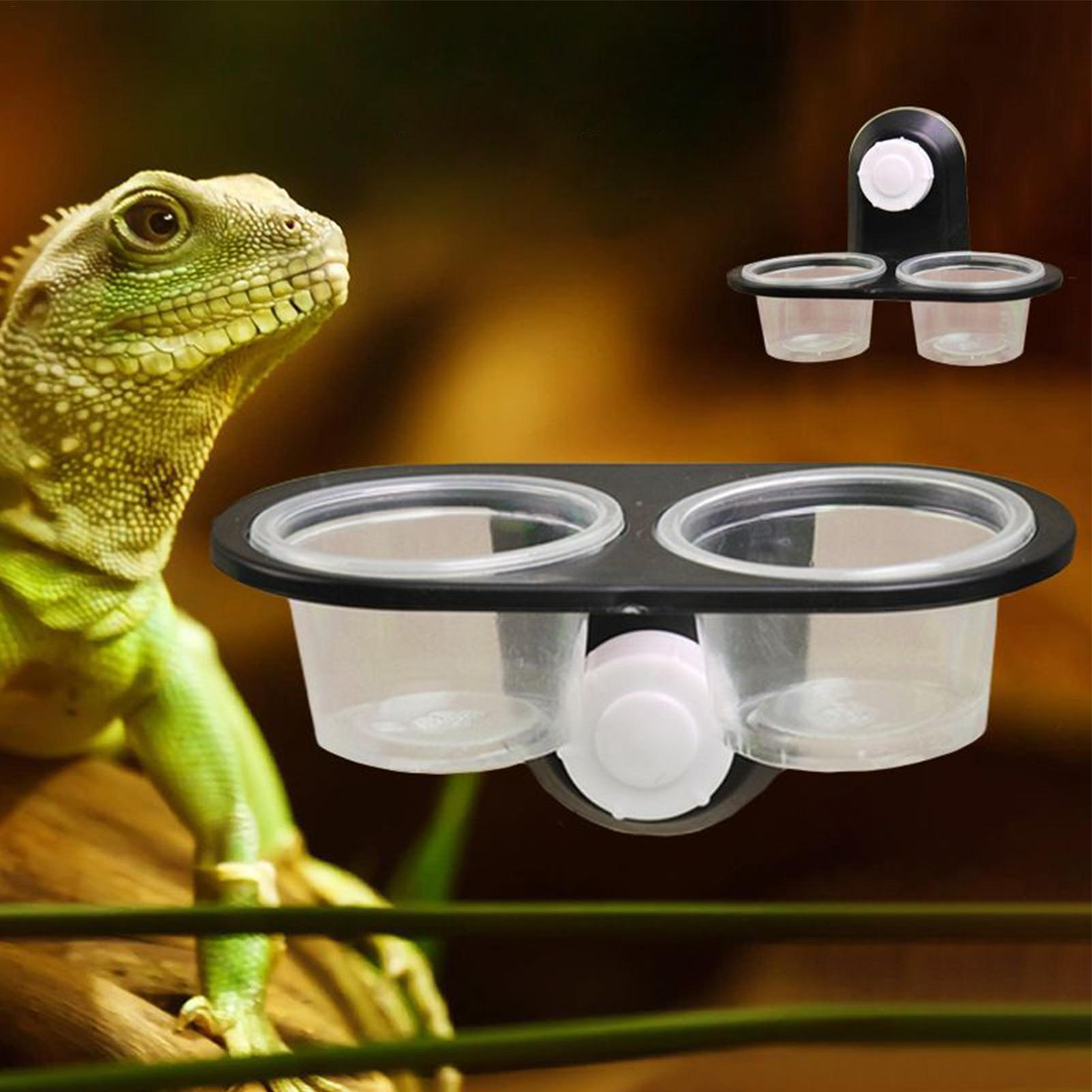 Gecko Food Dish Water Dish for - Water Dish Reptile recension och pris